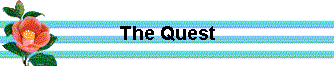  The Quest 