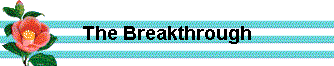  The Breakthrough 