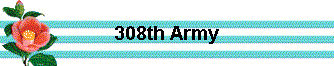  308th Army 