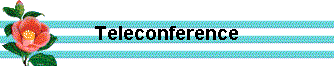  Teleconference 